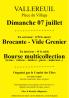 Brocante - vide grenier - bourse multicollections - Vallereuil